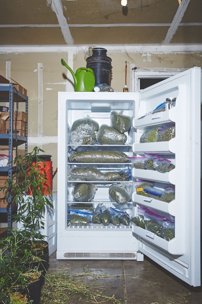 marijuana-horticulture-sisters-of-the-valley-shaughn-crawford-john-dubois-19
