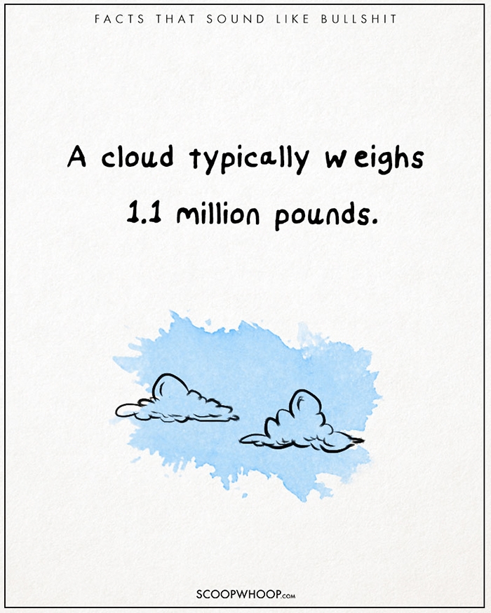 25-unbelievable-facts-that-are-completely-true-scoopwhoop-13