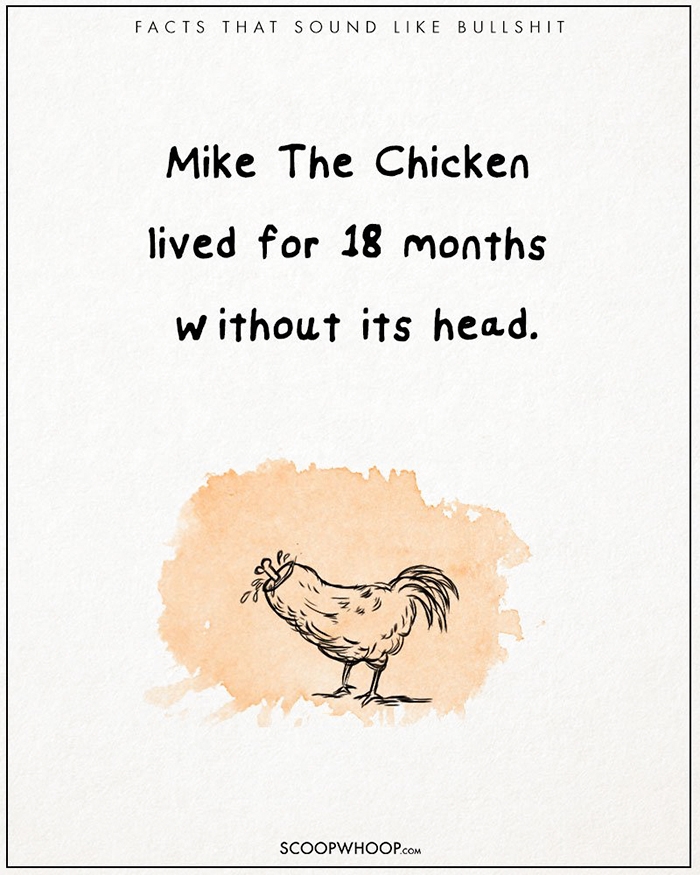 25-unbelievable-facts-that-are-completely-true-scoopwhoop-18