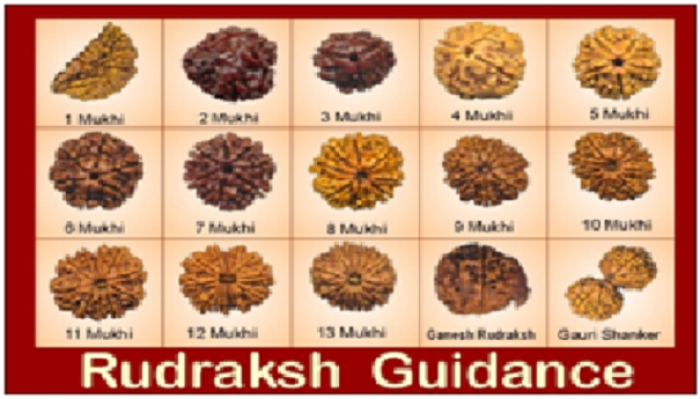 rudraksha shopping