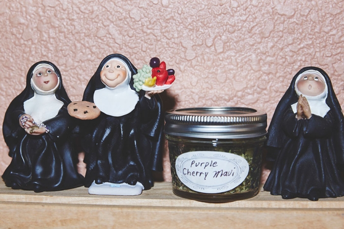 marijuana-horticulture-sisters-of-the-valley-shaughn-crawford-john-dubois-11