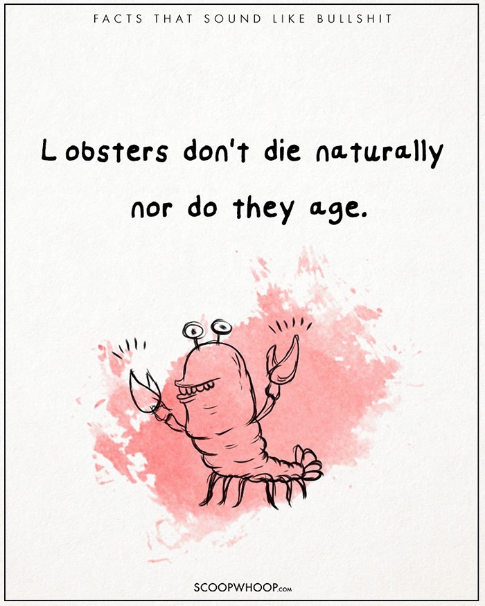 25-unbelievable-facts-that-are-completely-true-scoopwhoop-17