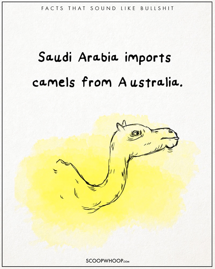 25-unbelievable-facts-that-are-completely-true-scoopwhoop-12
