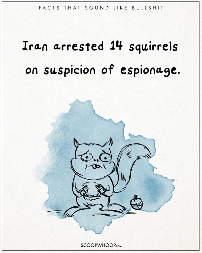 25-unbelievable-facts-that-are-completely-true-scoopwhoop-21