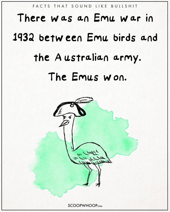 25-unbelievable-facts-that-are-completely-true-scoopwhoop-22