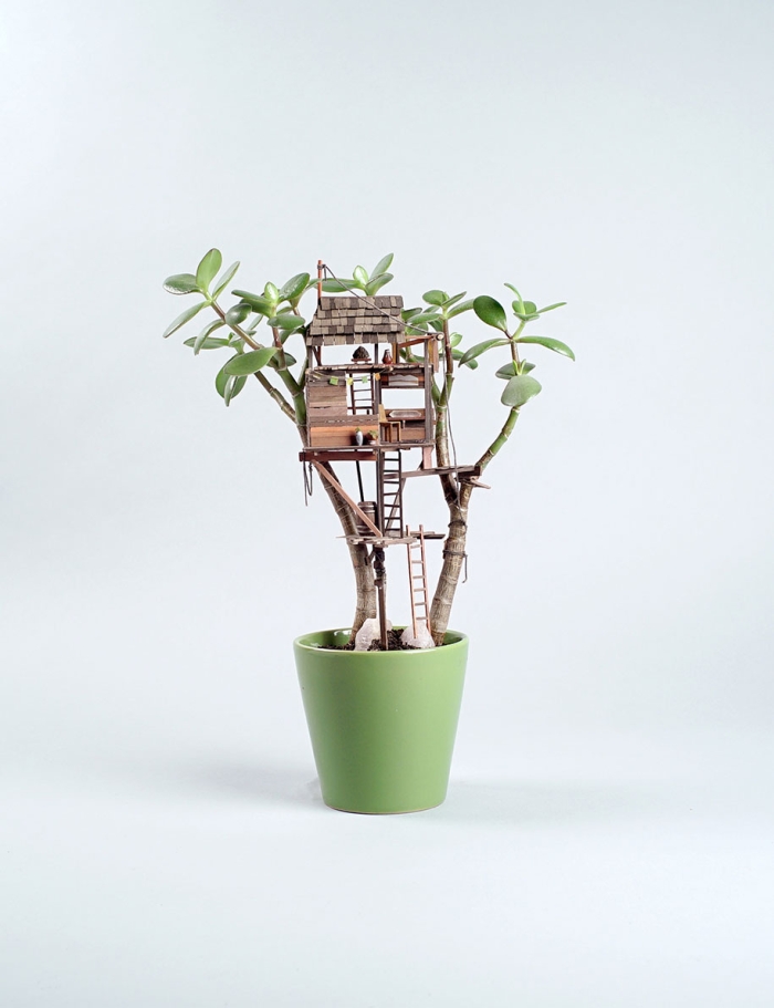 miniature-treehouse-houseplants-jedediah-corwyn-voltz-24