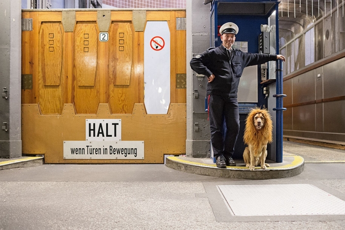 dog-turned-into-lion-julia-marie-werner-7