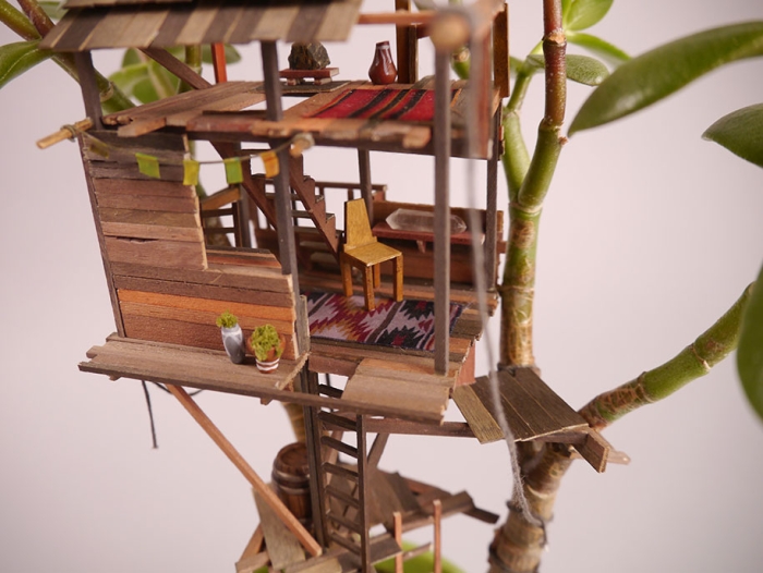 miniature-treehouse-houseplants-jedediah-corwyn-voltz-8