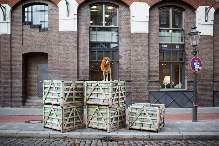dog-turned-into-lion-julia-marie-werner-4