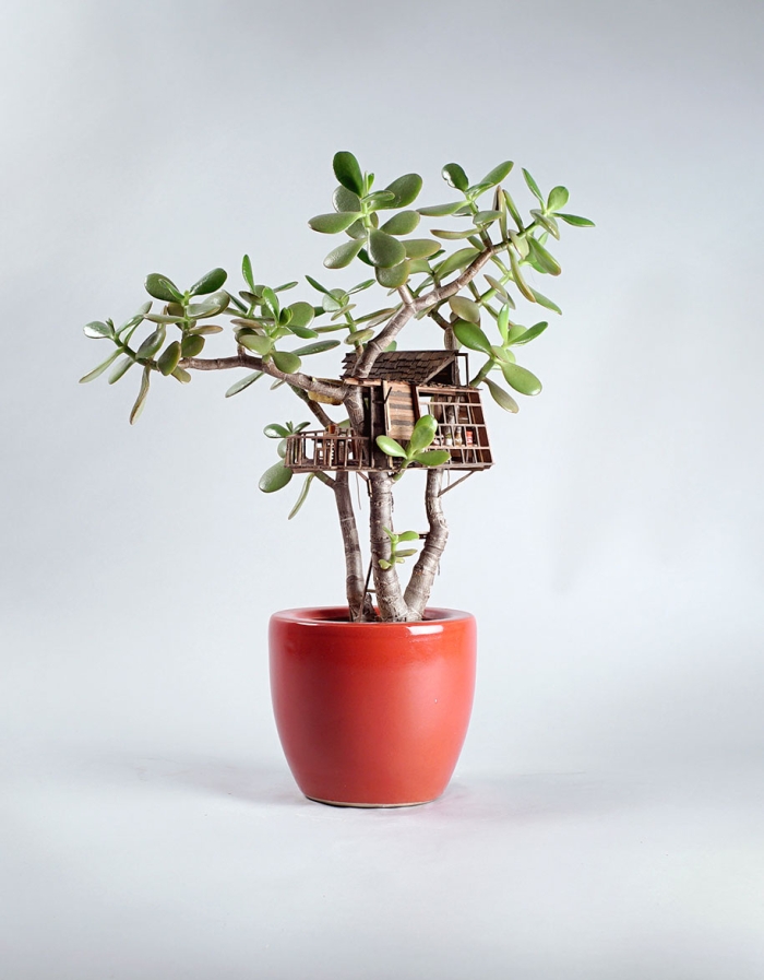 miniature-treehouse-houseplants-jedediah-corwyn-voltz-17