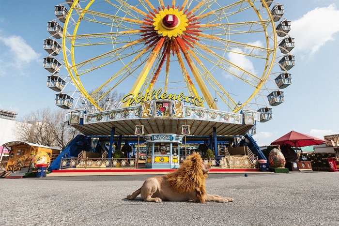 dog-turned-into-lion-julia-marie-werner-8