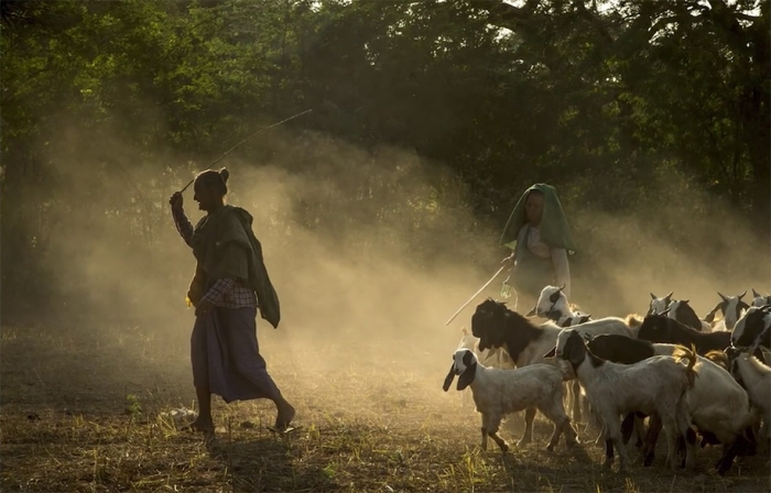 national-geographic-style-photography-tips-bob-holmes-1