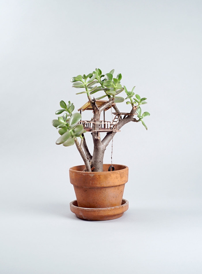 miniature-treehouse-houseplants-jedediah-corwyn-voltz-23