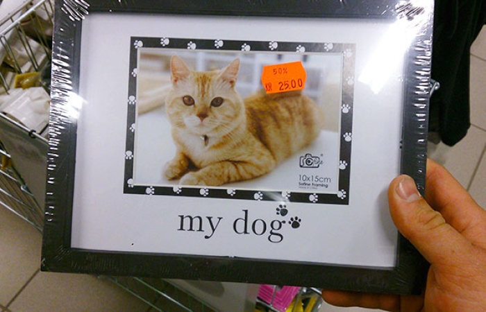 expectations-meet-reality-false-advertising-18