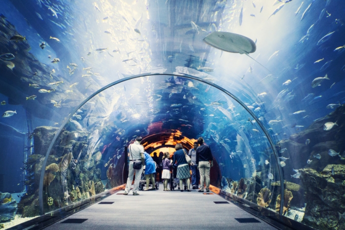 3. Dubai aquarium