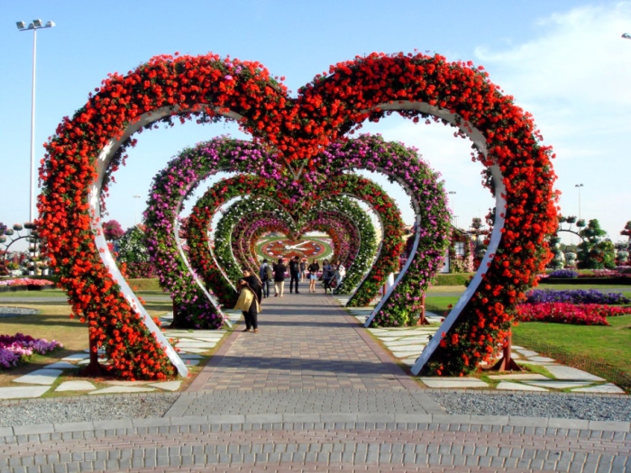 2. Miracle Garden