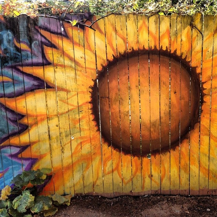 creative-diy-garden-fence-ideas-8