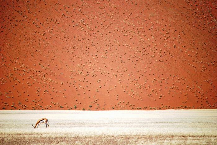 national-geographic-travel-photographer-of-the-year-2016-5