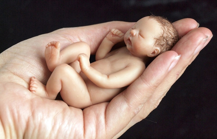 lifelike-miniature-baby-sculptures-camille-allen-1-4