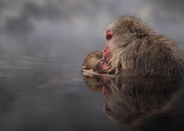 national-geographic-travel-photographer-of-the-year-2016-11
