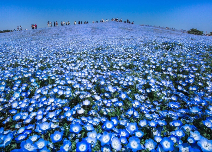 national-geographic-travel-photographer-of-the-year-2016-17