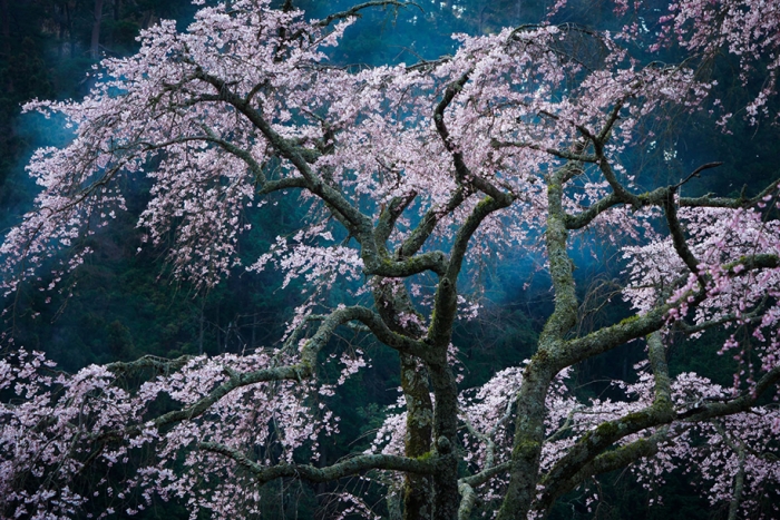 national-geographic-travel-photographer-of-the-year-2016-3
