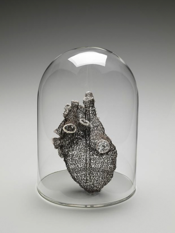 anatomical-wire-sculptures-heart-anne-mondro-10