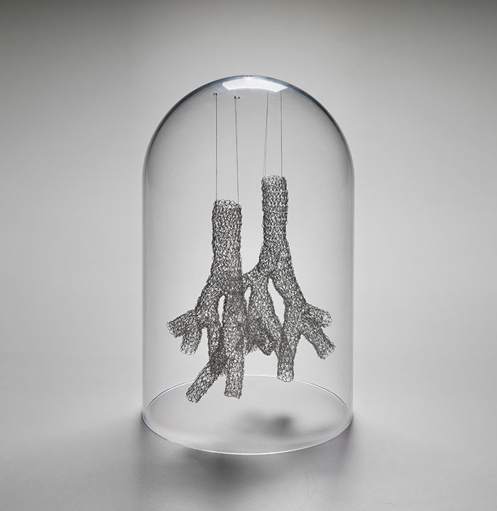anatomical-wire-sculptures-heart-anne-mondro-17
