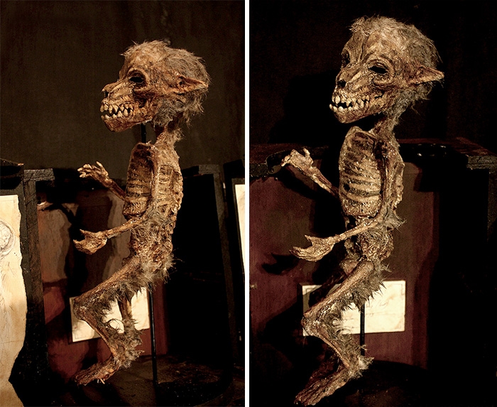 mysterious-skulls-skeletons-thomas-theodore-merrylin-home-london-2
