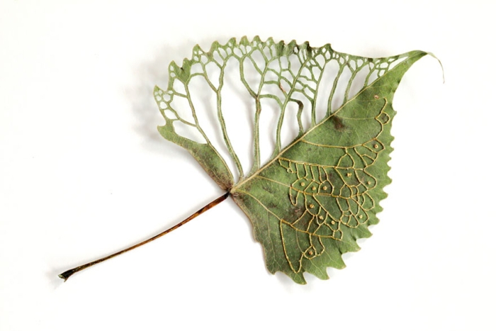 outside-the-box-embroidery-art-48