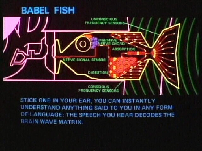mini-real-time-translator-earpiece-waverly-labs-1