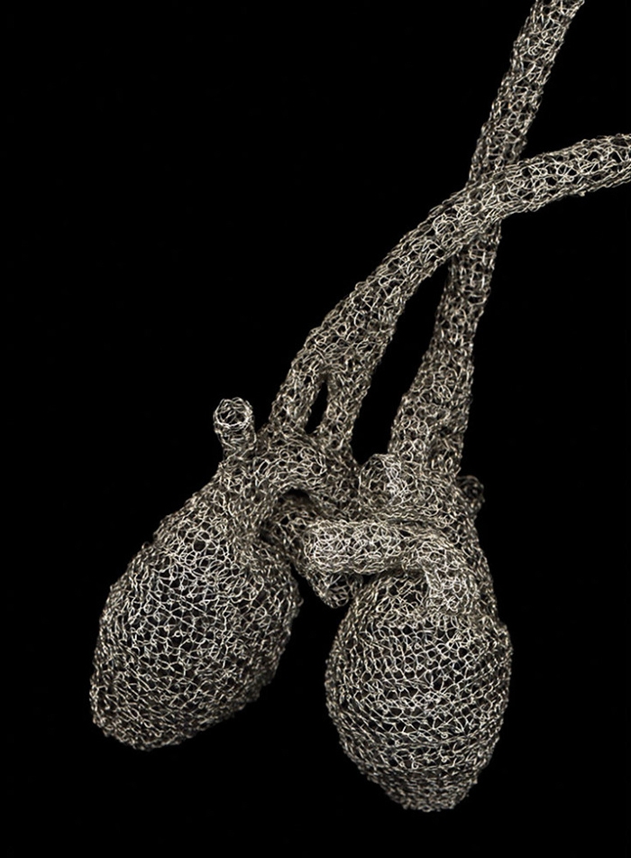 anatomical-wire-sculptures-heart-anne-mondro-3