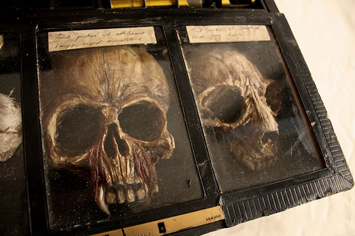 mysterious-skulls-skeletons-thomas-theodore-merrylin-home-london-11