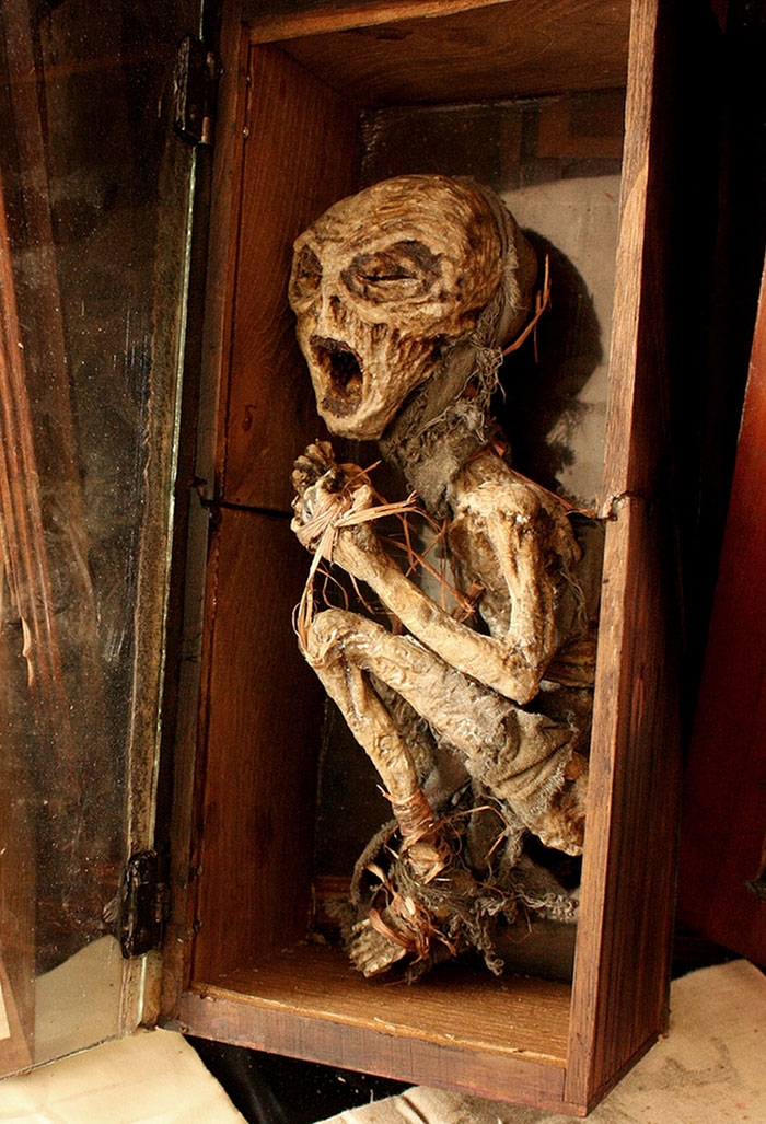 mysterious-skulls-skeletons-thomas-theodore-merrylin-home-london-6