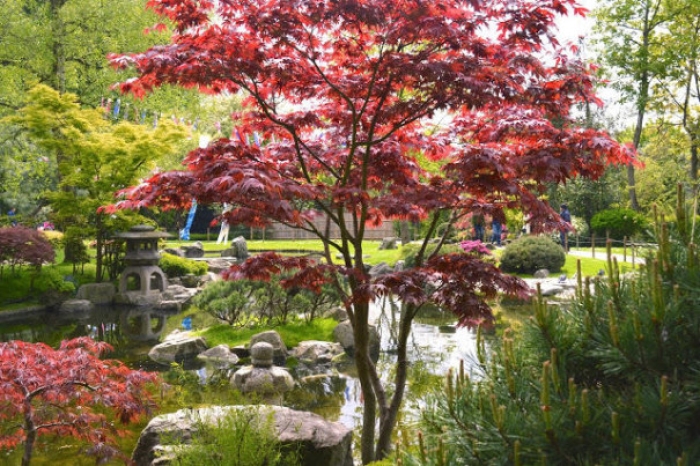Holland Park