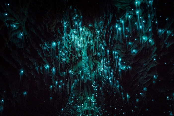 glow-worms-limestone-caves-shaun-jeffers-beautiful-new-zealand-4