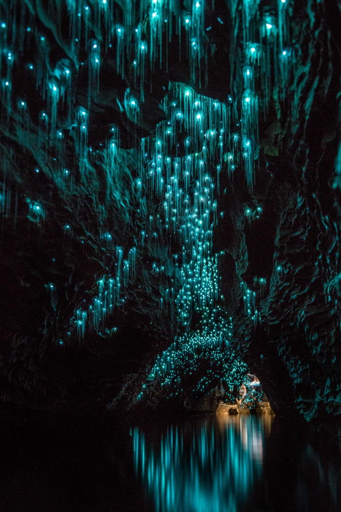 glow-worms-limestone-caves-shaun-jeffers-beautiful-new-zealand-9