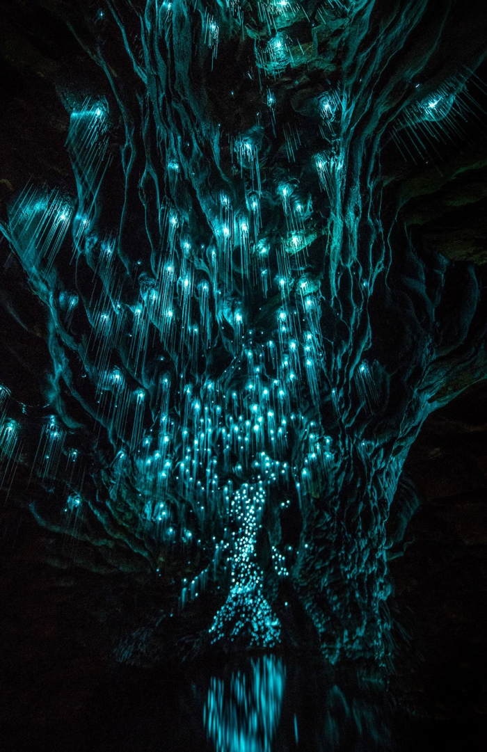 glow-worms-limestone-caves-shaun-jeffers-beautiful-new-zealand-12