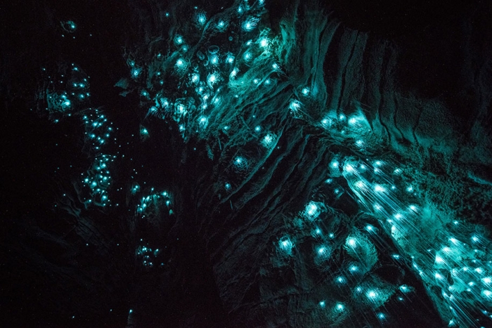 glow-worms-limestone-caves-shaun-jeffers-beautiful-new-zealand-6