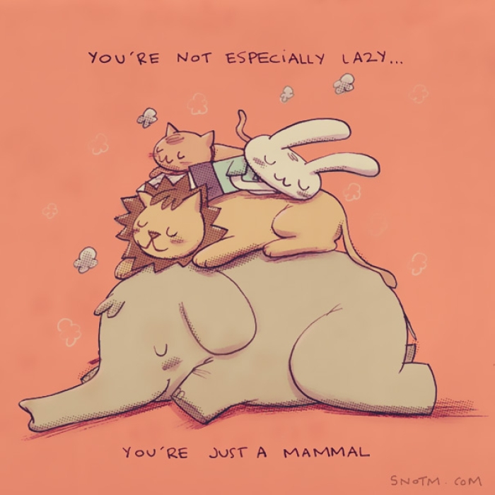 funny-illustrations-stuff-no-one-told-me-snotm-alex-noriega-17