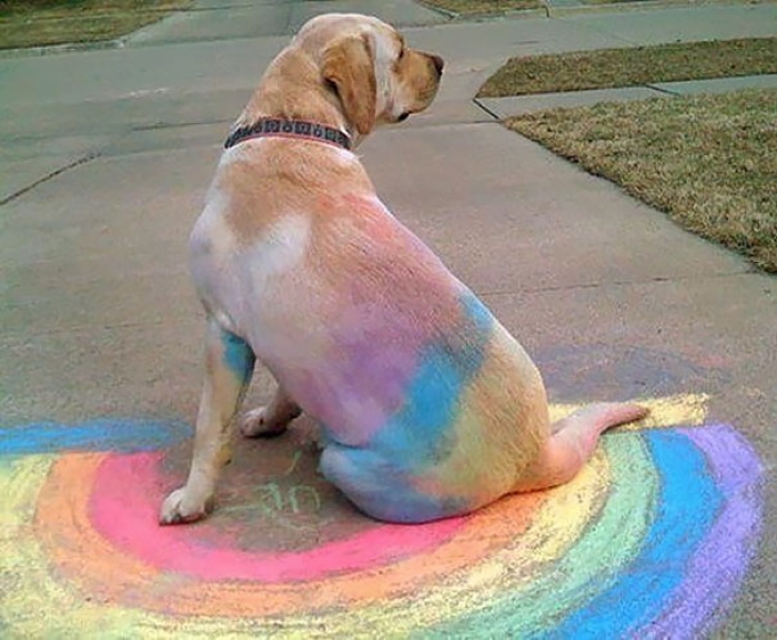 examples-of-accidental-art-7