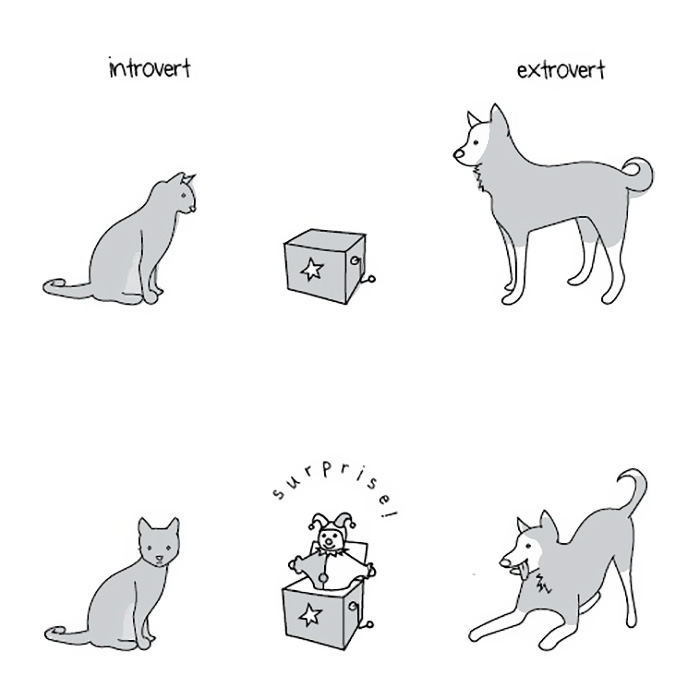 extroverts-and-introverts-explained-liz-fosslien-mollie-west-2