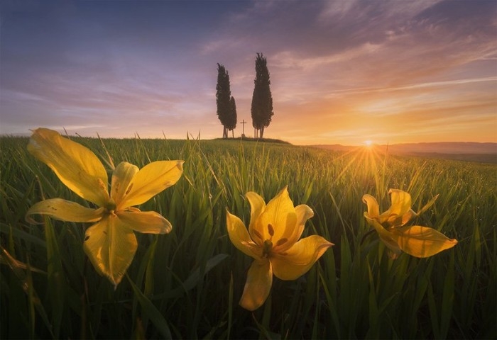 Tuscany Photo Workshop