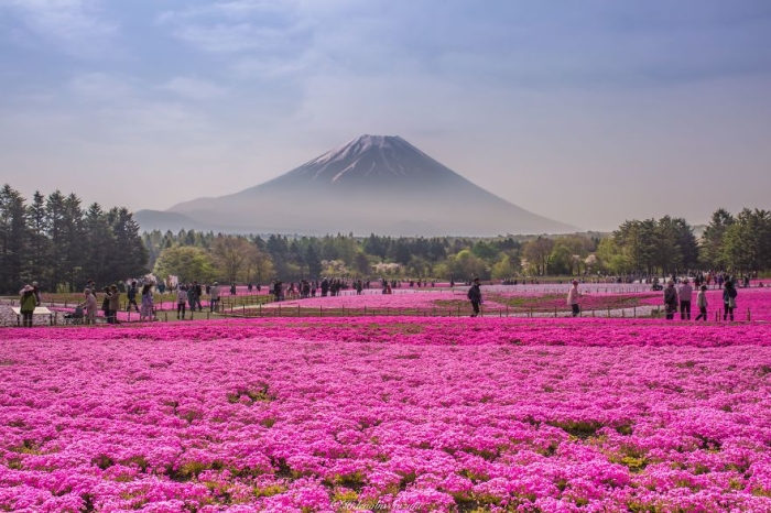 beautiful-places-tourist-attractions-japan-5