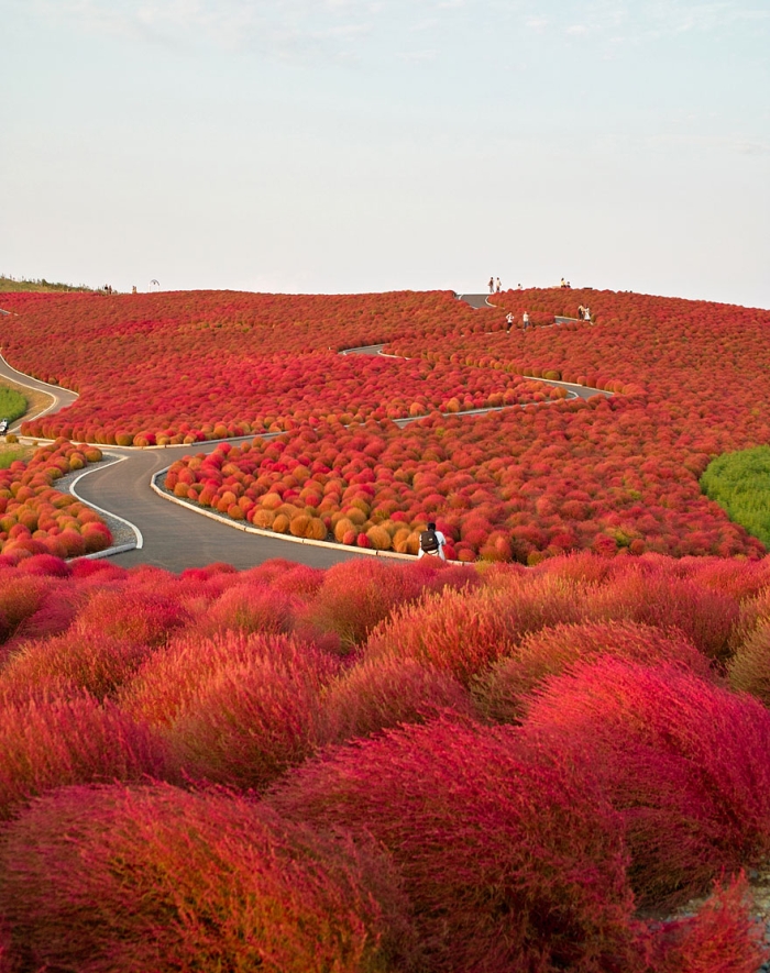 beautiful-places-tourist-attractions-japan-10