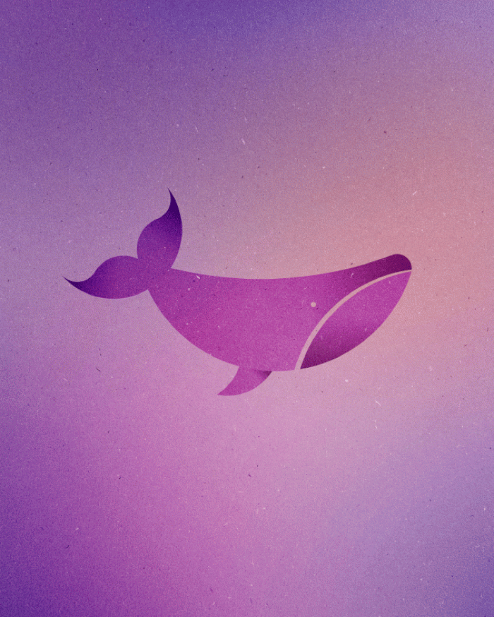 13-animals-out-of-13-circles-dorota-pankowska-13