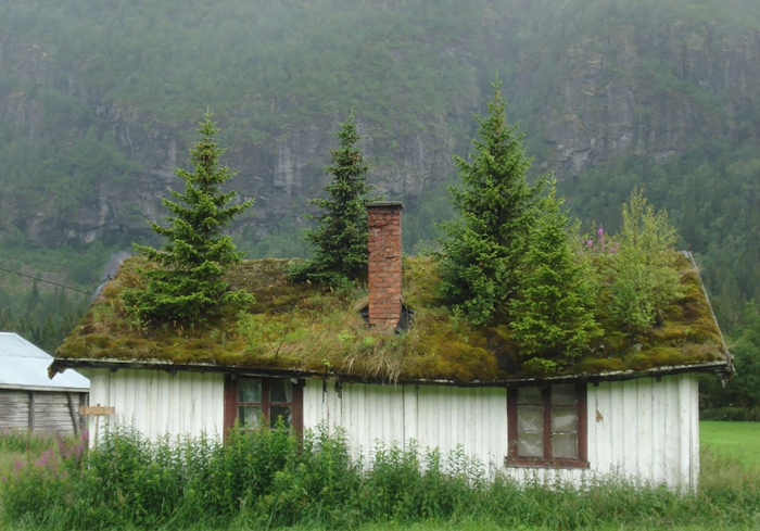 grass-roofs-green-houses-scandinavia-6