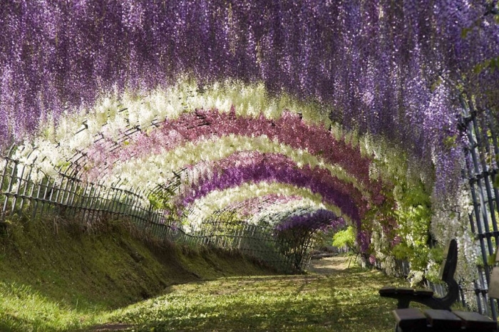 beautiful-places-tourist-attractions-japan-11