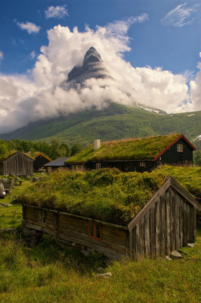 grass-roofs-green-houses-scandinavia-4