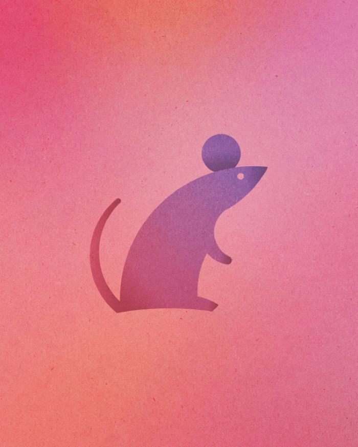 13-animals-out-of-13-circles-dorota-pankowska-8